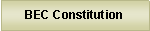 Text Box: BEC Constitution
